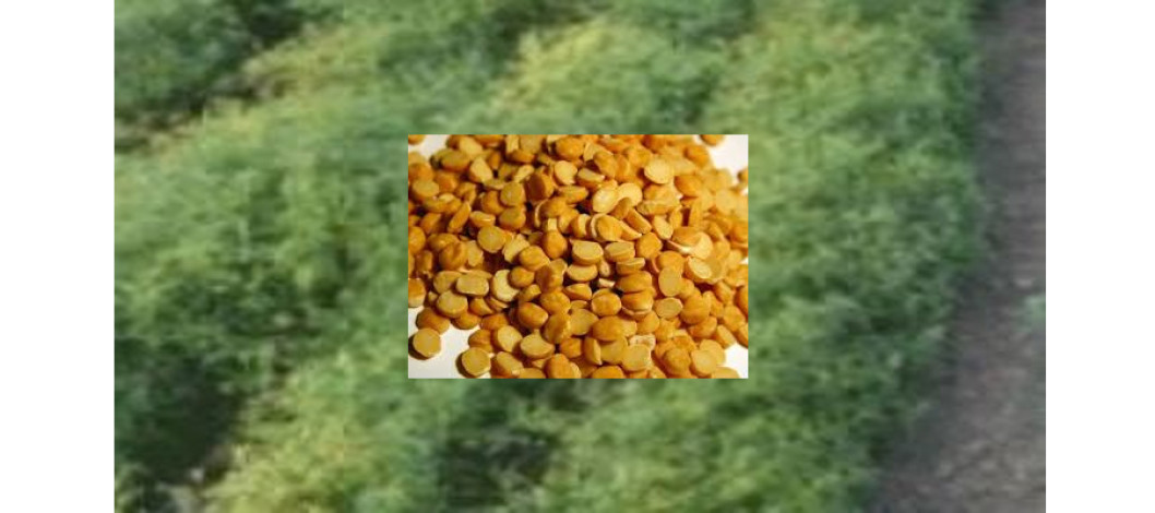 small-img