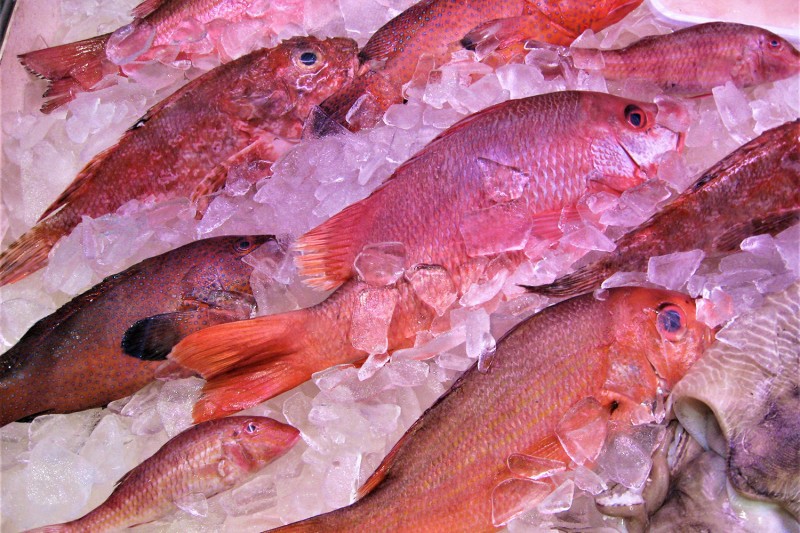 Caption news on Prof. Boyd estimates the edible protein from various sources