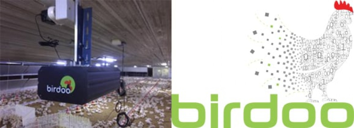 Cargill expands portfolio of artificial intelligence-powered innovations to give poultry producers actionable insights