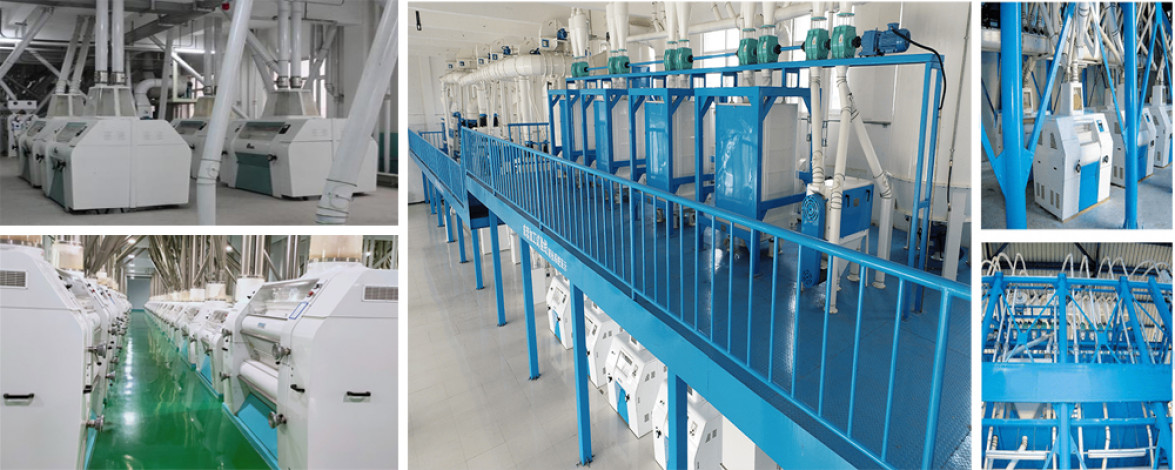 Modern method of production of flour from wheat in the flour milling industry