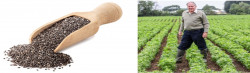 UK’s first chia seeds grower sees 50% decrease in agri seeds wastage