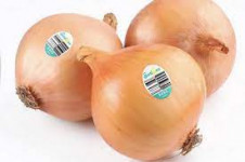 BASF has developed a seed variety for the first tearless onion in the European market