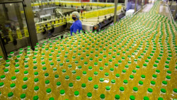 Is soybean and palm oil prices soaring due to Ukraine's sunflower oil?