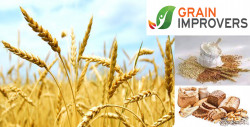 Grain Improvers – Enzymatic composition for higher grain grinding efficiency and sustainability - FAQ