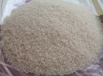 The production and demand of aromatic rice is increasing and the price is also rising