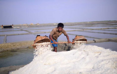 Owners of the salt mills are in trouble because of the iodine crisis during the season