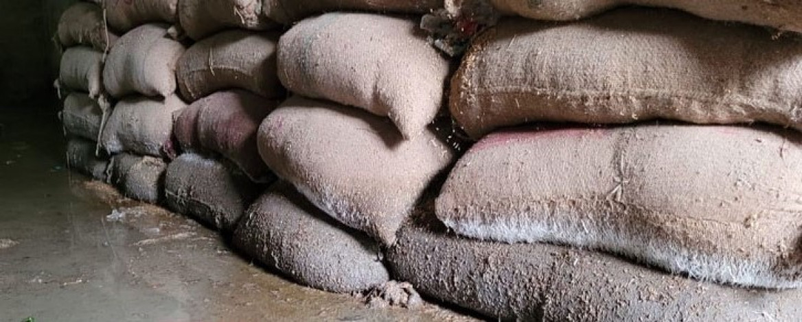 Paddy and rice worth crores of Tk. wasted in the warehouse during the Sylhet floods