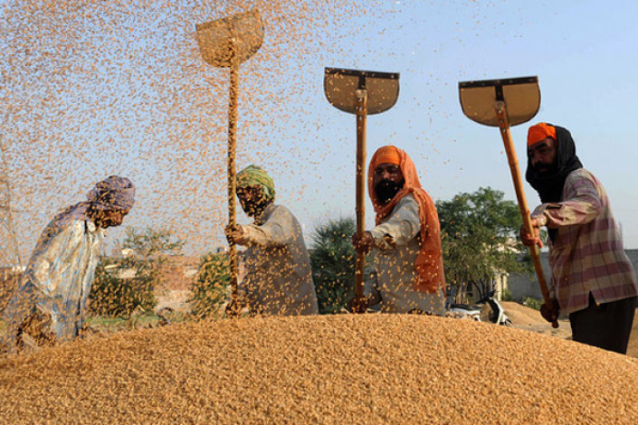 The government wants to import wheat from India
