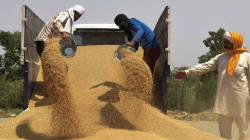 India is considering exporting wheat to 5 countries including Bangladesh