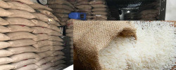 Bangladesh ranks third in the world in rice production for the 4th consecutive time