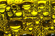 Concessional VAT facility on edible oil imports was extended for another three months