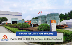 Sunflower Seed Pressing: We can provide turnkey plant for you