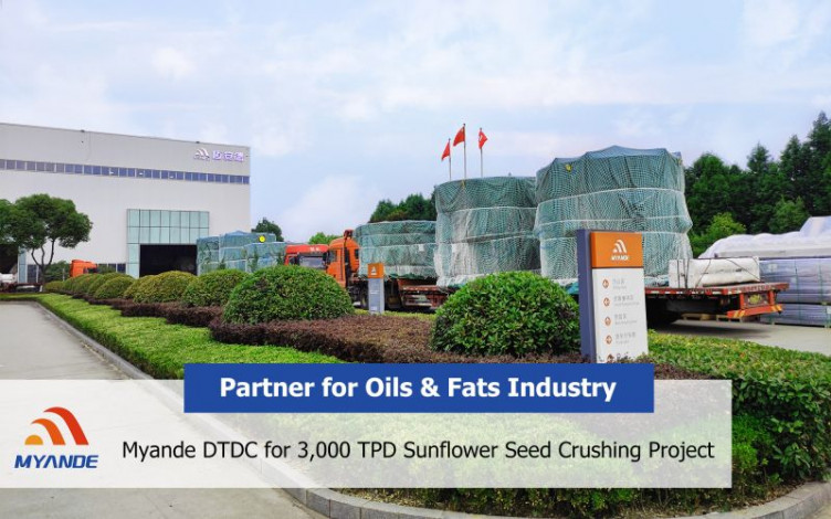 Sunflower Seed Pressing: We can provide turnkey plant for you