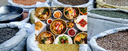 Bold, scaled, collaborative actions are needed to give everyone access to enough nutritious food, FAO Director-General says