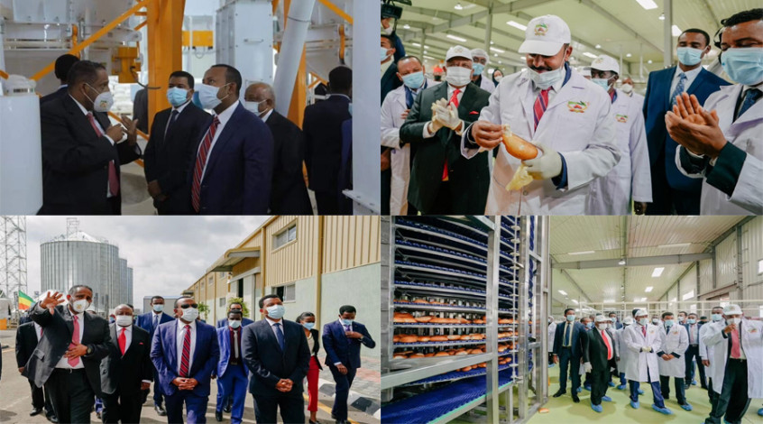 Caption news on Ethiopia double line 112 with 43000 ton steel silos