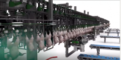 Poultry processors around the world face the daily challenge