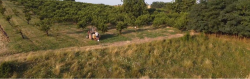 THE GEOGRAPHY OF FOOD AND AGRICULTURAL TRADE: POLICY APPROACHES FOR SUSTAINABLE DEVELOPMENT