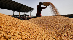 Volatility in the wheat market: Half of the mills have been closed in Nitaiganj