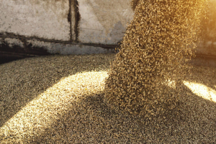 Finally the decision to import wheat from Russia in dollars