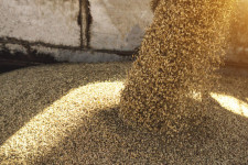 Finally the decision to import wheat from Russia in dollars