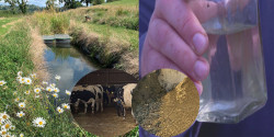 A solution to river pollution has been tested on a dairy farm in Wales
