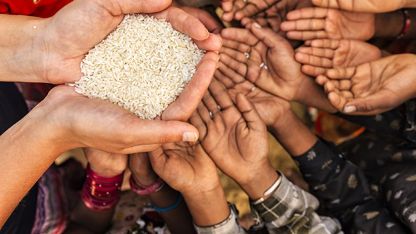 UN fears: The world may face a food crisis in 2023