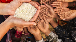 UN fears: The world may face a food crisis in 2023