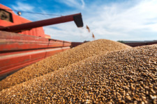 After Russia, wheat from Ukraine came to Bangladesh
