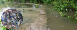Severe damage to shrimp farms in Bagerhat and Satkhira due to Cyclone Sitrang