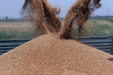 Ukraine : FAO reinforces its presence to optimize technical and humanitarian assistance