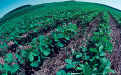 Agroecology enhances employment, rural economies, and gender relations in Africa