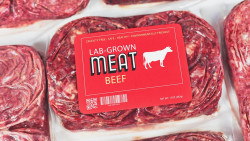 Lab-grown meat is moving closer to the American dinner plate