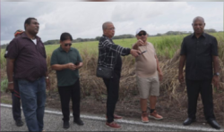 The Philippine government is implementing agro-industrial development to build large-scale agricultural farms