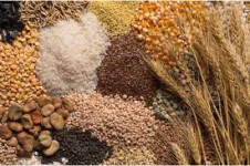 FAO Food Price Index declines for the 11th consecutive month