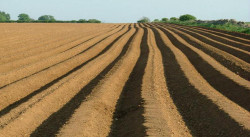 The Punjab Government has signed an MoU with the Army for 'Corporate Agriculture Farming