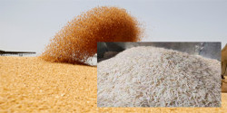 India's rice subsidies at WTO by the US, Thailand and others