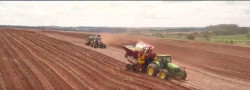CAFCO's 2023 crop has been introduced as follows
