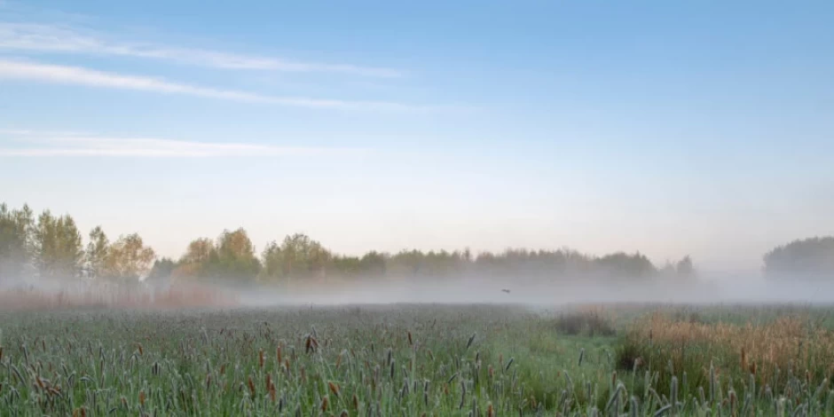 Evapotranspiration Process And Methods Of Measuring, why Is Evapotranspiration So Important In Agriculture?