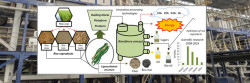 Rice Deep Processing Section: Rice Grading, Brown Color Selection, Packaging, Dust Removal