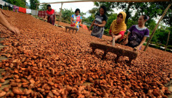 10 years of Cargill Cocoa Promise in Indonesia: Celebrating collaborations and progress towards a more sustainable cocoa sector