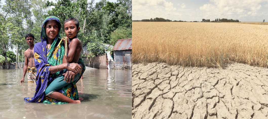 "Bangladesh's agriculture is unable to adopt sustainable technologies due to a lack of proper initiatives"