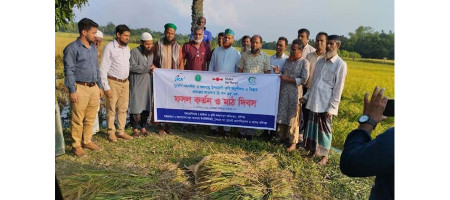Expected yield of BRRI rice 95 in Habiganj