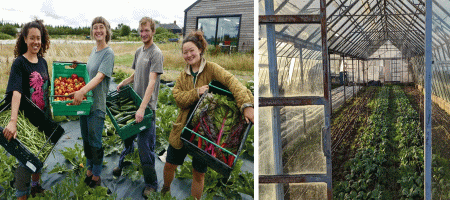 London's 'forgotten farm' appeals for funding