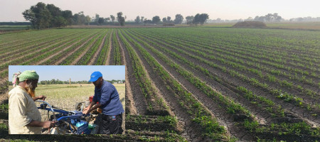 Bed-planting technology has transformed agriculture into a climate-smart one