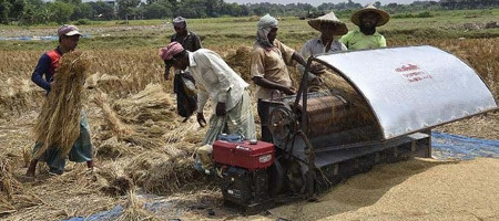 86,430 farmers are receiving agricultural technology training in Rajshahi