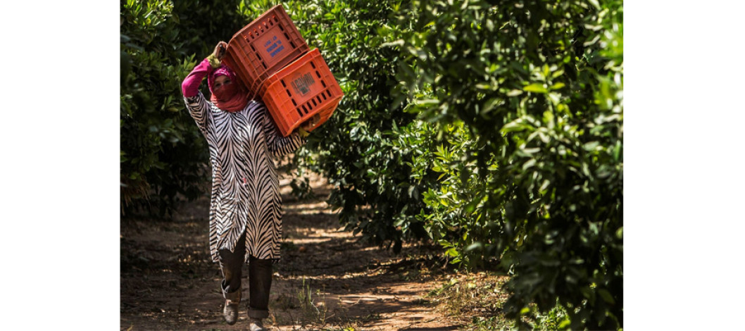 FAO report: Heat waves and floods affect rural women and men differently, widening income gap