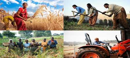 FAO welcomes the celebration of the International Year of the Woman Farmer in 2026