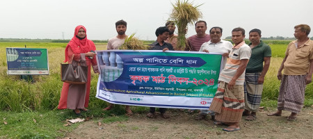 Climate tolerant farming methods are being promoted in Barendra area of ​​Bangladesh