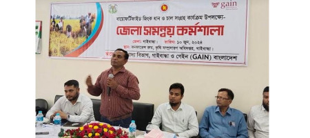 'Farming zinc rice at larger scale to overcome zinc deficiency'