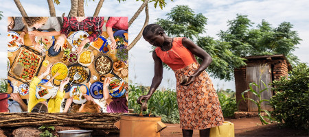 FAO Food Price Index stable in June: Global cereal output forecast to reach an all-time high in 2024